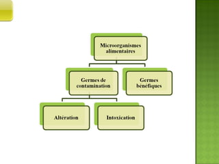 DONNEES  MICROBIOLOGIQUES 