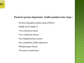 Parmi les germes importants  étudiés pendant notre stage : la flore mésophile aérobie totale (FMAT) les coliformes totaux Les coliformes fécaux Les Staphylococcus aureus Les anaérobies sulfito-réducteurs MOR 20 ET MOR 37 Streptocoques fécaux Levures et moisissures RECHERCHES  BIBLIOGRAPHIQUES  