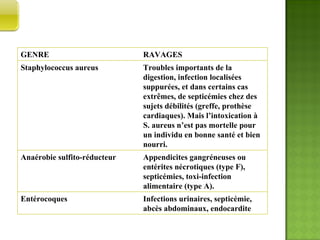 LES RAVAGES  GENRE RAVAGES Staphylococcus aureus Troubles importants de la digestion, infection localisées suppurées, et dans certains cas extrêmes, de septicémies chez des sujets débilités (greffe, prothèse cardiaques). Mais l’intoxication à S. aureus n’est pas mortelle pour un individu en bonne santé et bien nourri. Anaérobie sulfito-réducteur Appendicites gangréneuses ou entérites nécrotiques (type F), septicémies, toxi-infection alimentaire (type A). Entérocoques Infections urinaires, septicémie, abcès abdominaux, endocardite 