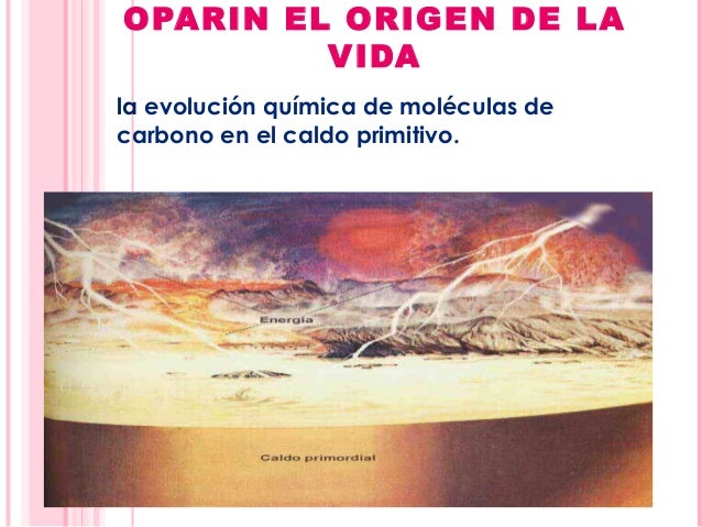 Diapos oparin el origen de la vida
