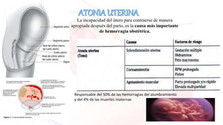 ALGORITMO PARA EL MANEJO DE
LA HEMORRAGIA POSTPARTO
H- (Help) Pedir ayuda y colocar las manos sobre el útero
(masaje uteri...