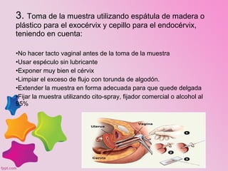 3. Toma de la muestra utilizando espátula de madera o
plástico para el exocérvix y cepillo para el endocérvix,
teniendo en cuenta:
•No hacer tacto vaginal antes de la toma de la muestra
•Usar espéculo sin lubricante
•Exponer muy bien el cérvix
•Limpiar el exceso de flujo con torunda de algodón.
•Extender la muestra en forma adecuada para que quede delgada
•Fijar la muestra utilizando cito-spray, fijador comercial o alcohol al
95%
 