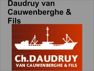 Daudruy van Cauwenberghe & Fils Daudruy van Cauwenberghe & Fils 