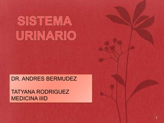 DR. ANDRES BERMUDEZ

TATYANA RODRIGUEZ
MEDICINA IIID


                      1
 