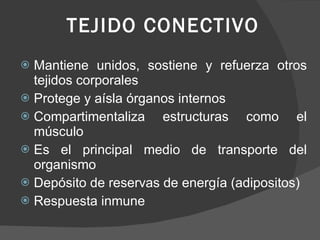 TEJIDO CONECTIVO ,[object Object],[object Object],[object Object],[object Object],[object Object],[object Object]