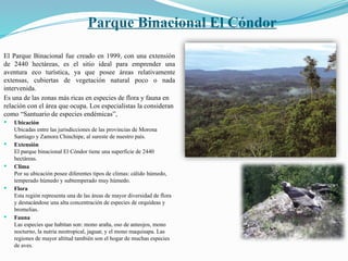 Parque Binacional El Cóndor
El Parque Binacional fue creado en 1999, con una extensión
de 2440 hectáreas, es el sitio ideal para emprender una
aventura eco turística, ya que posee áreas relativamente
extensas, cubiertas de vegetación natural poco o nada
intervenida.
Es una de las zonas más ricas en especies de flora y fauna en
relación con el área que ocupa. Los especialistas la consideran
como “Santuario de especies endémicas”,
 Ubicación
Ubicadas entre las jurisdicciones de las provincias de Morona
Santiago y Zamora Chinchipe, al sureste de nuestro país.
 Extensión
El parque binacional El Cóndor tiene una superficie de 2440
hectáreas.
 Clima
Por su ubicación posee diferentes tipos de climas: cálido húmedo,
temperado húmedo y subtemperado muy húmedo.
 Flora
Esta región representa una de las áreas de mayor diversidad de flora
y destacándose una alta concentración de especies de orquídeas y
bromelias.
 Fauna
Las especies que habitan son: mono araña, oso de anteojos, mono
nocturno, la nutria neotropical, jaguar, y el mono maquisapa. Las
regiones de mayor altitud también son el hogar de muchas especies
de aves.
 