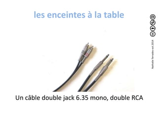 les enceintes à la table 
Un câble double jack 6.35 mono, double RCA 
Nathalie Terrades-oct.2014 
 