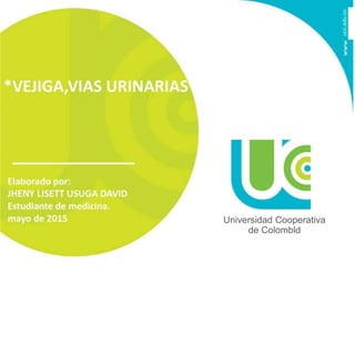 .ucc.edu.co
Universidad Cooperativa
de Colombld
 