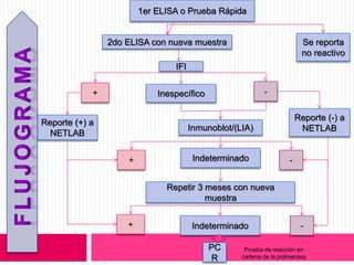 1er ELISA o Prueba Rápida
2do ELISA con nueva muestra Se reporta
no reactivo
IFI
Reporte (+) a
NETLAB
Inespecífico+
Inmunoblot/(LIA)
Reporte (-) a
NETLAB
Indeterminado
Repetir 3 meses con nueva
muestra
-
-+
+ -Indeterminado
PC
R
Prueba de reacción en
cadena de la polimerasa
 