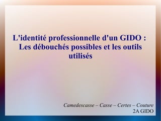 L'identité professionnelle d'un GIDO :
 Les débouchés possibles et les outils
                 utilisés




              Camedescasse – Casse – Certes – Couture
                                            2A GIDO
 