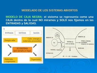 MODELADO DE LOS SISTEMAS ABIERTOS

MODELO DE CAJA NEGRA: el sistema se representa como una
CAJA dentro de la cual NO miramos y SOLO nos fijamos en las
ENTRADAS y SALIDAS.
 