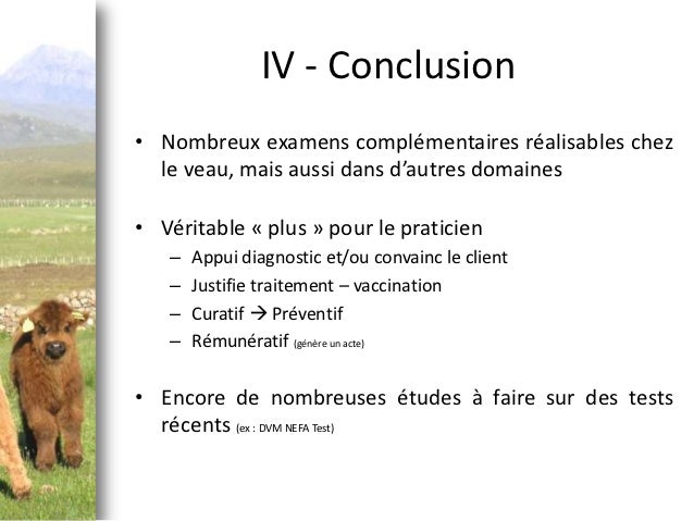 Diaporama Soutenance De These