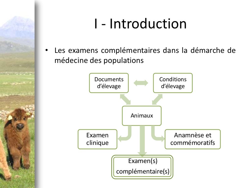 diaporama soutenance de