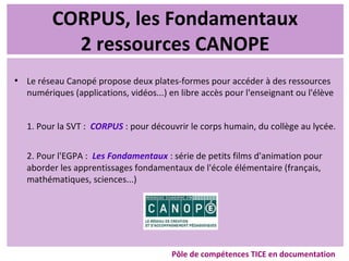 CORPUS, les Fondamentaux
2 ressources CANOPE
●
Le réseau Canopé propose deux plates-formes pour accéder à des ressources
numériques (applications, vidéos...) en libre accès pour l'enseignant ou l'élève
1. Pour la SVT : CORPUS : pour découvrir le corps humain, du collège au lycée.
2. Pour l'EGPA : Les Fondamentaux : série de petits films d'animation pour
aborder les apprentissages fondamentaux de l'école élémentaire (français,
mathématiques, sciences...)
Pôle de compétences TICE en documentation
 