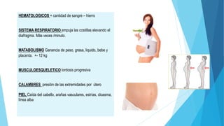HEMATOLOGICOS + cantidad de sangre – hierro
SISTEMA RESPIRATORIO empuja las costillas elevando el
diafragma. Más veces /minuto.
MATABOLISMO Ganancia de peso, grasa, liquido, bebe y
placenta. +- 12 kg
MUSCULOESQUELETICO lordosis progresiva
CALAMBRES presión de las extremidades por útero
PIEL Caída del cabello, arañas vasculares, estrías, cloasma,
línea alba
 