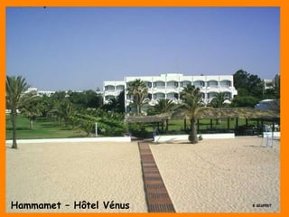 Hammamet – Hôtel Vénus
 
