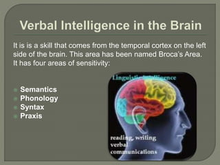 It is is a skill that comes from the temporal cortex on the left
side of the brain. This area has been named Broca’s Area.
It has four areas of sensitivity:
 Semantics
 Phonology
 Syntax
 Praxis
 