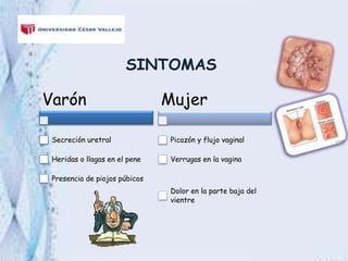 SINTOMAS
Varón
Secreción uretral
Heridas o llagas en el pene
Presencia de piojos púbicos
Mujer
Picazón y flujo vaginal
Ver...
