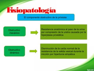 Fisiopatología
El componente obstructivo de la próstata:
Obstructivo
mecánico
Resistencia anatómica al paso de la orina
por compresión de la uretra causada por la
hiperplasia prostática
Obstructivo
dinámico
Disminución de la caída normal de la
resistencia de la salida vesical durante la
micción por hipertonía simpática
 