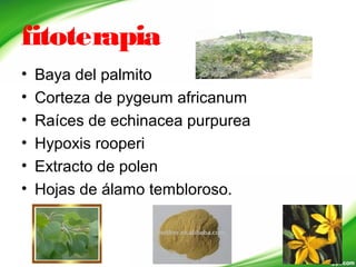 fitoterapia
• Baya del palmito
• Corteza de pygeum africanum
• Raíces de echinacea purpurea
• Hypoxis rooperi
• Extracto de polen
• Hojas de álamo tembloroso.
 