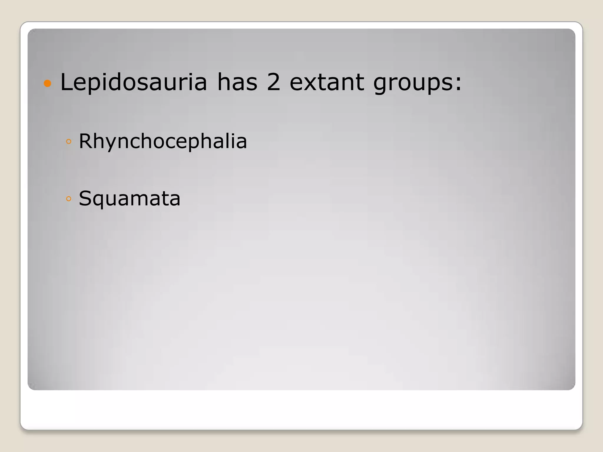    Lepidosauria has 2 extant groups:

    ◦ Rhynchocephalia

    ◦ Squamata
 