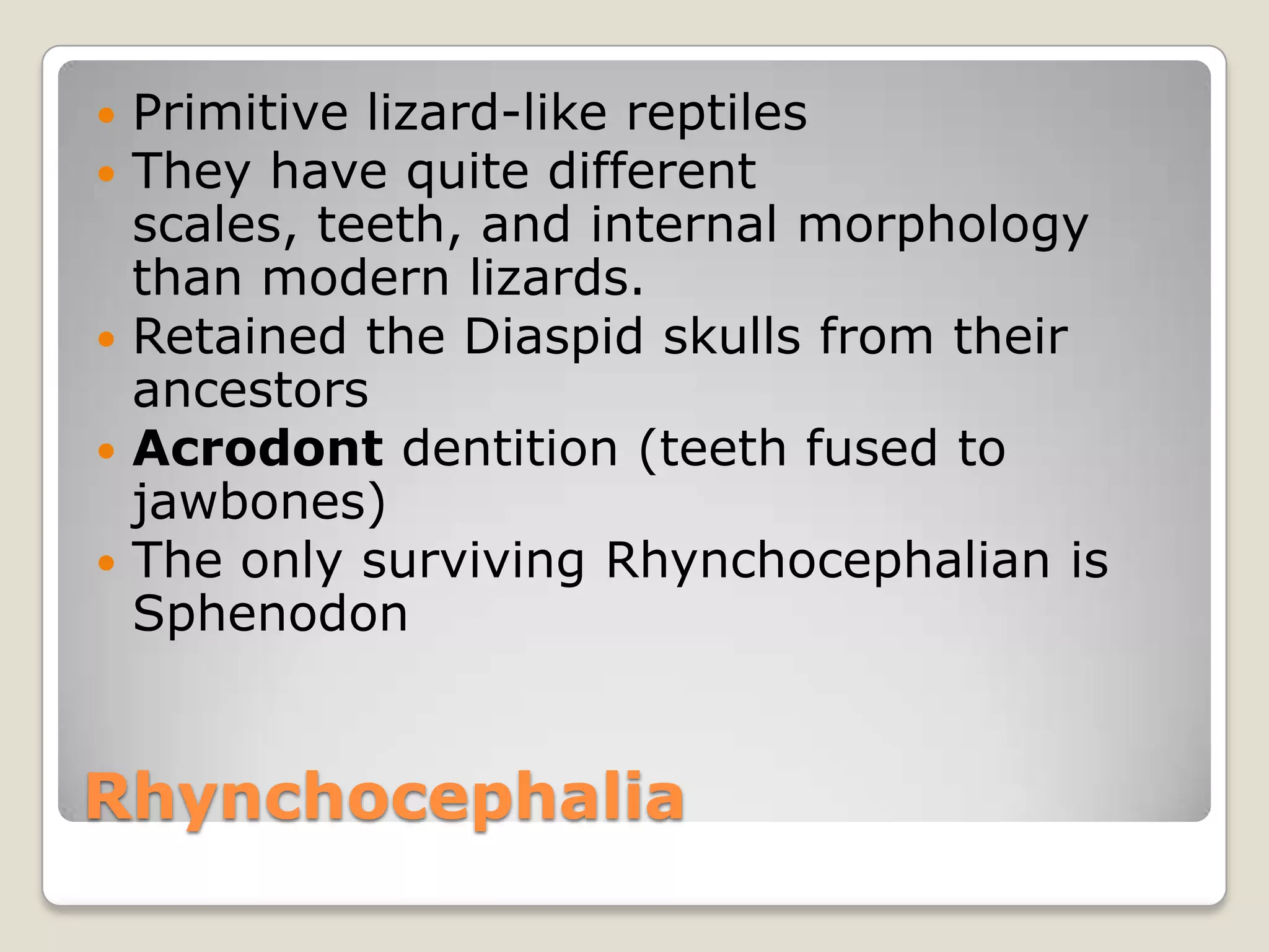  Primitive lizard-like reptiles
 They have quite different
  scales, teeth, and internal morphology
  than modern lizards.
 Retained the Diaspid skulls from their
  ancestors
 Acrodont dentition (teeth fused to
  jawbones)
 The only surviving Rhynchocephalian is
  Sphenodon


Rhynchocephalia
 