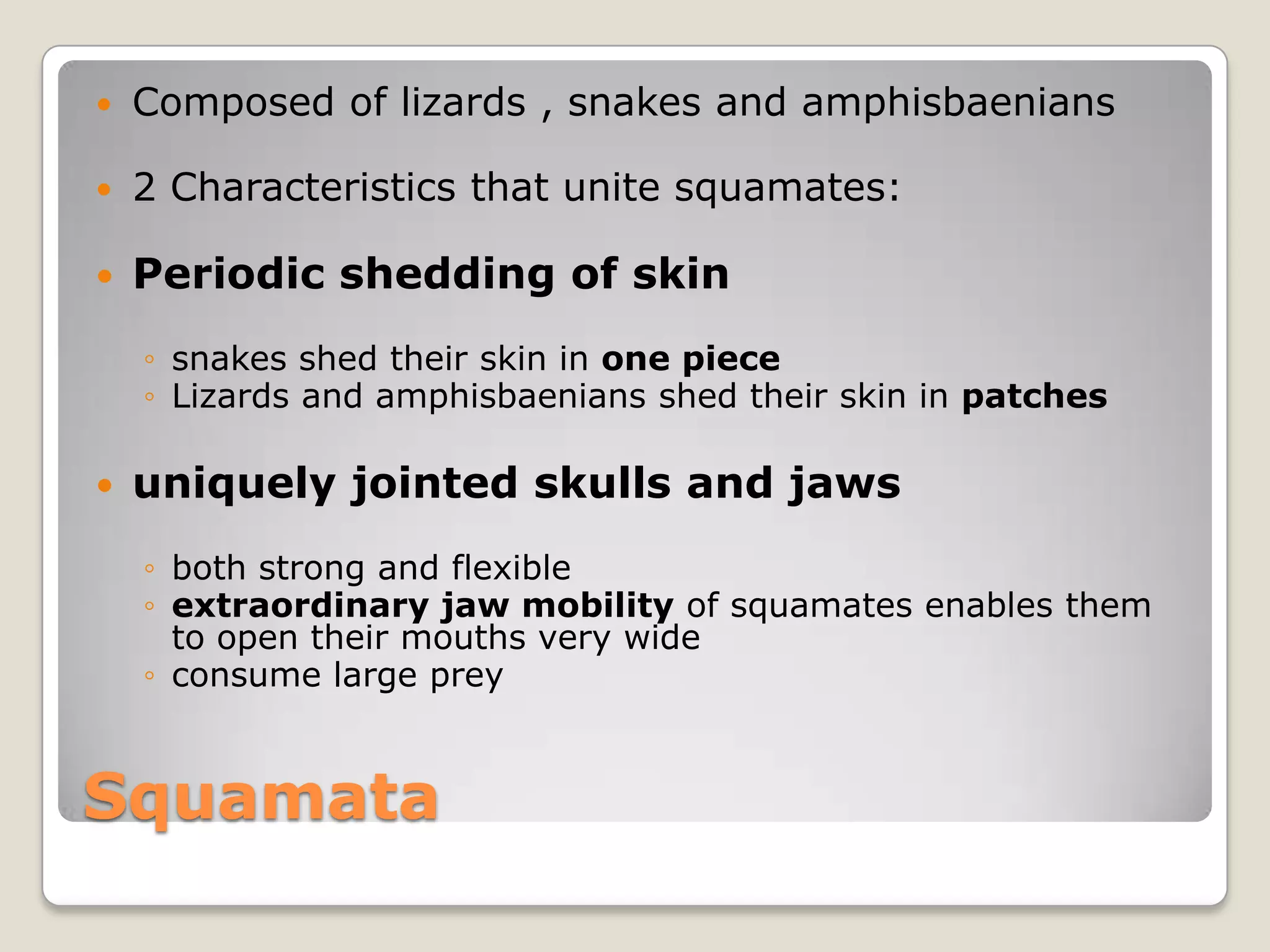    Composed of lizards , snakes and amphisbaenians

   2 Characteristics that unite squamates:

   Periodic shedding of skin
    ◦ snakes shed their skin in one piece
    ◦ Lizards and amphisbaenians shed their skin in patches

   uniquely jointed skulls and jaws
    ◦ both strong and flexible
    ◦ extraordinary jaw mobility of squamates enables them
      to open their mouths very wide
    ◦ consume large prey


Squamata
 