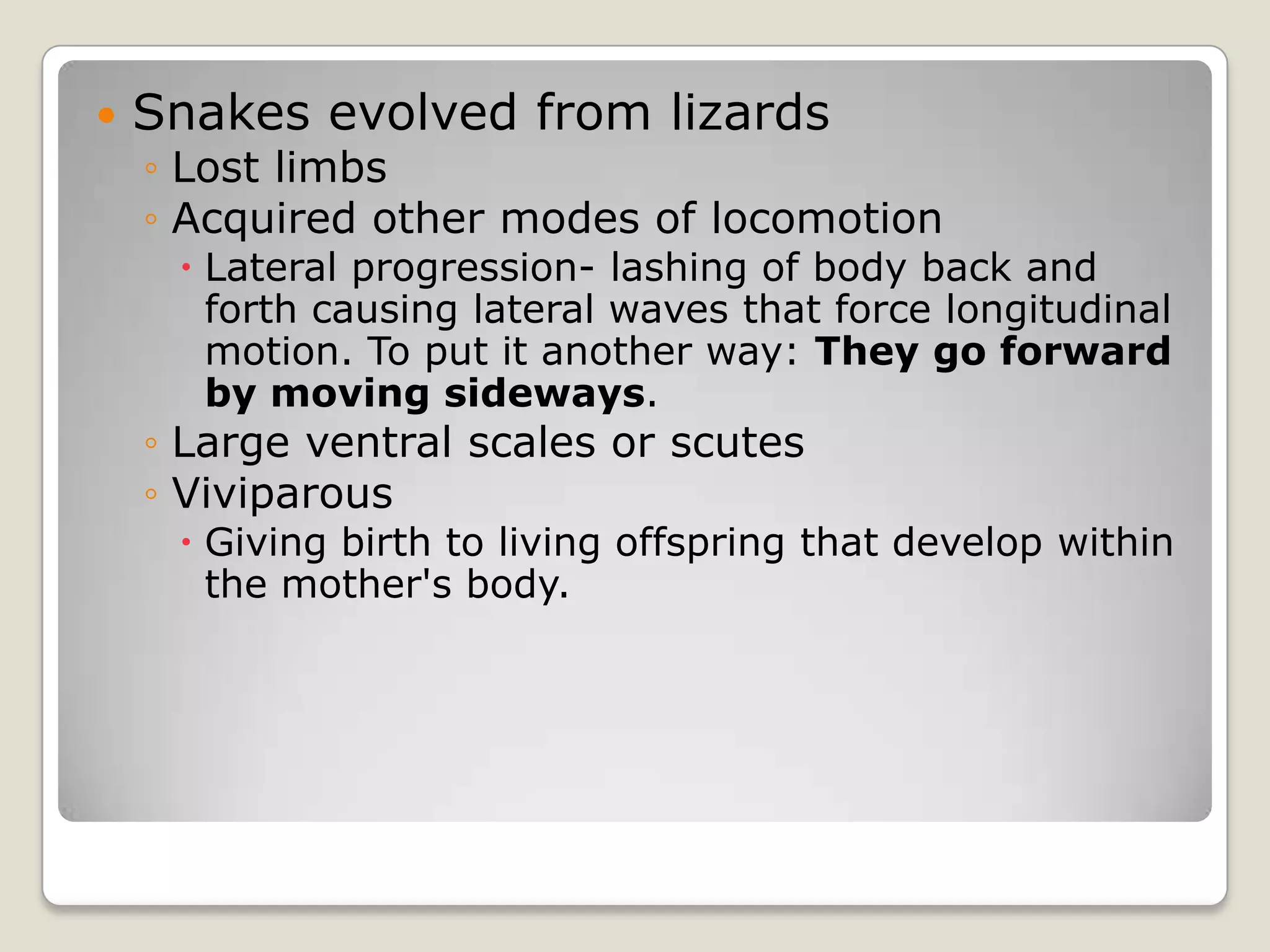    Snakes evolved from lizards
    ◦ Lost limbs
    ◦ Acquired other modes of locomotion
      Lateral progression- lashing of body back and
       forth causing lateral waves that force longitudinal
       motion. To put it another way: They go forward
       by moving sideways.
    ◦ Large ventral scales or scutes
    ◦ Viviparous
      Giving birth to living offspring that develop within
       the mother's body.
 