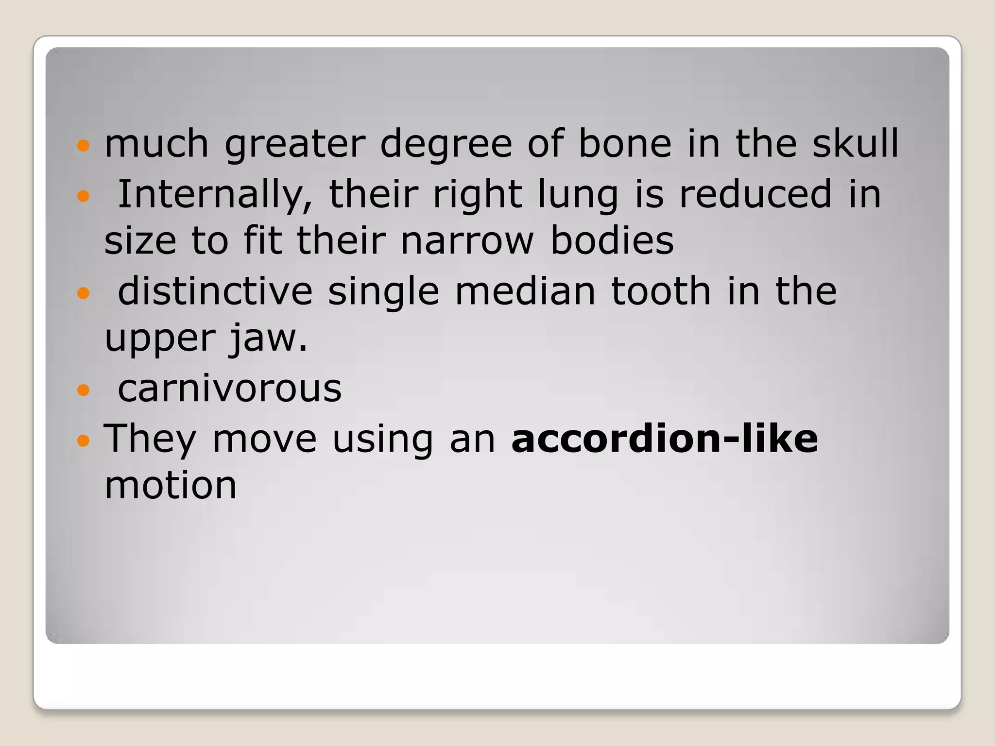    much greater degree of bone in the skull
    Internally, their right lung is reduced in
    size to fit their narrow bodies
    distinctive single median tooth in the
    upper jaw.
    carnivorous
   They move using an accordion-like
    motion
 