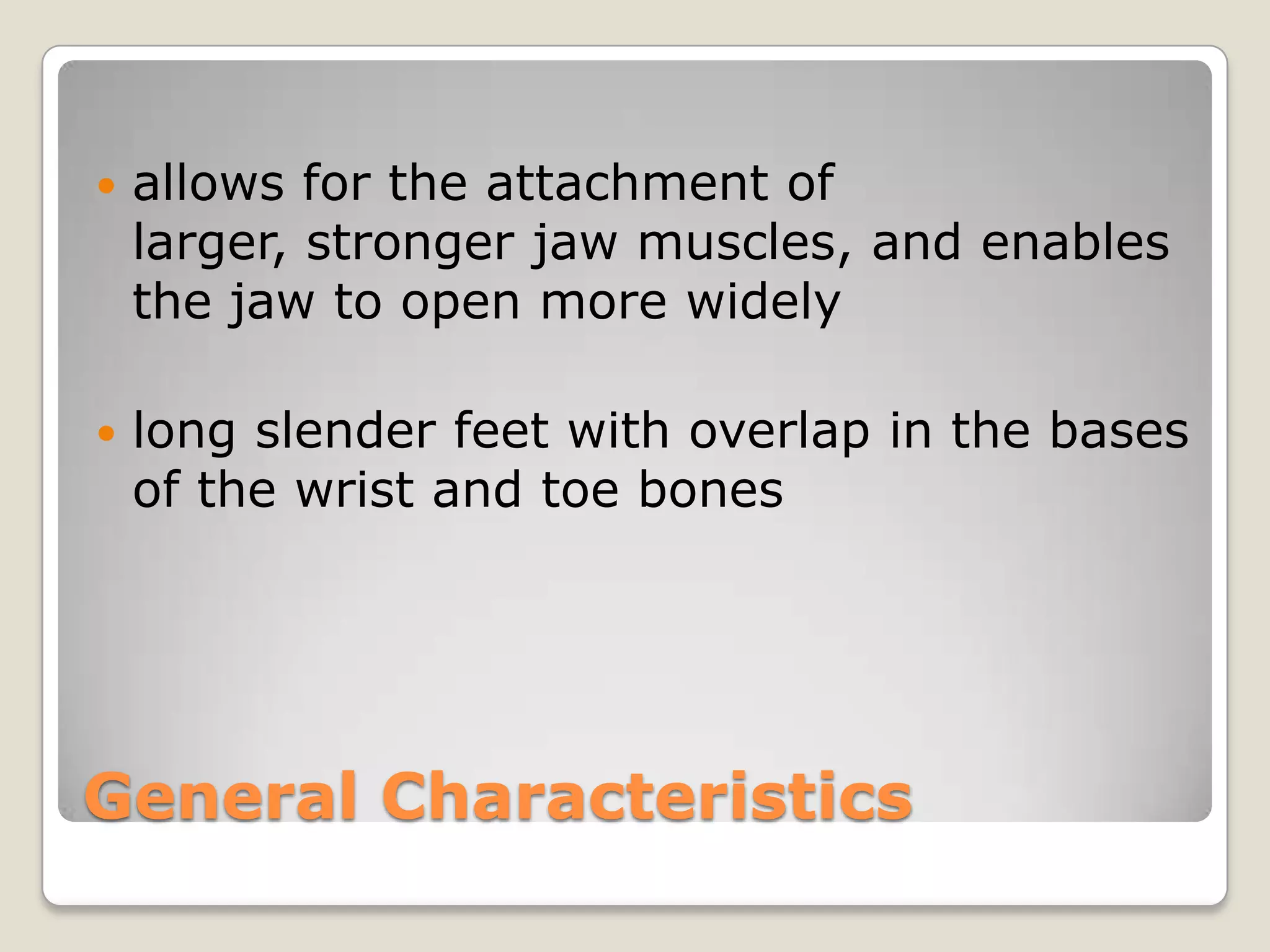    allows for the attachment of
    larger, stronger jaw muscles, and enables
    the jaw to open more widely

   long slender feet with overlap in the bases
    of the wrist and toe bones




General Characteristics
 