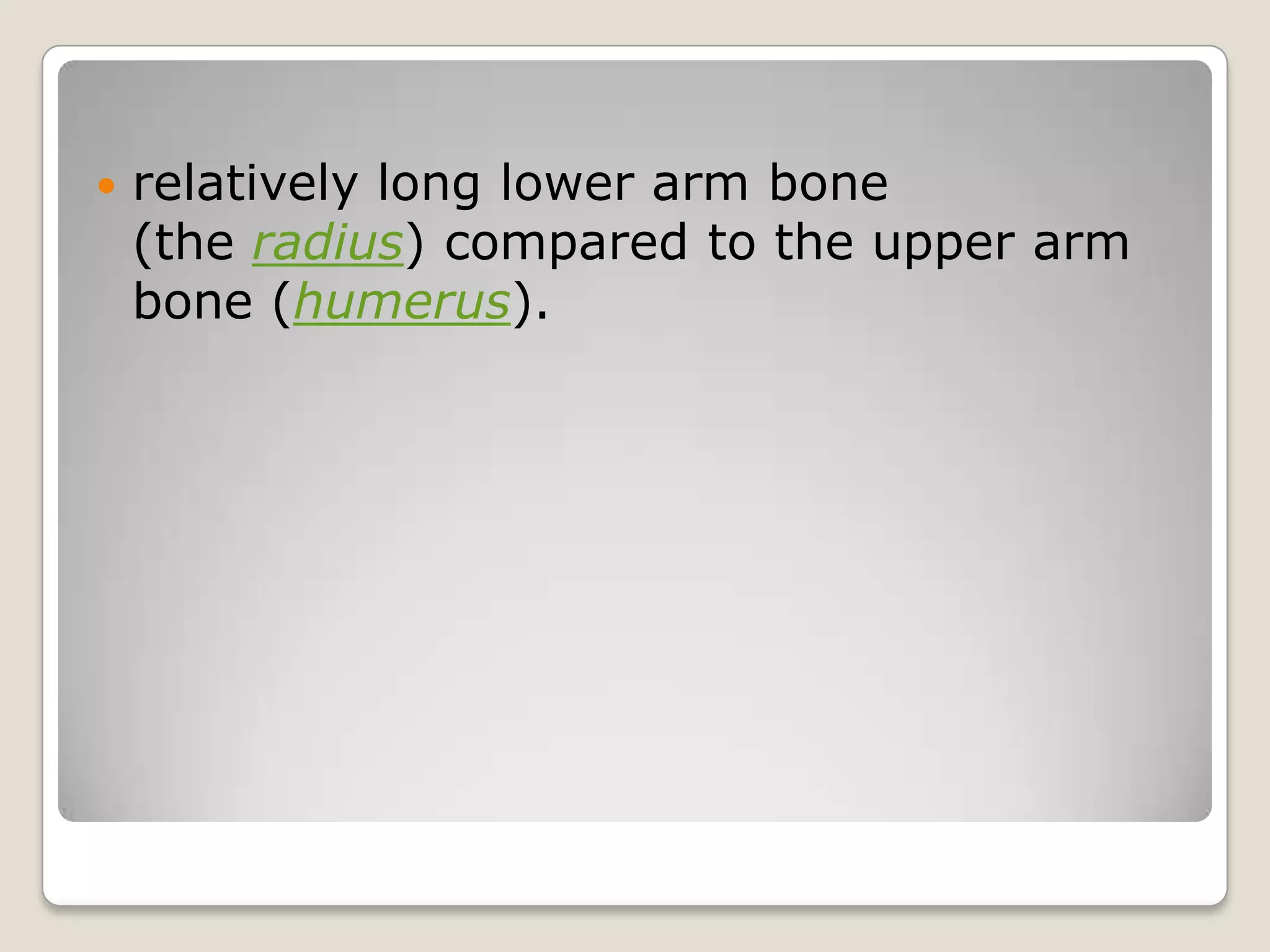    relatively long lower arm bone
    (the radius) compared to the upper arm
    bone (humerus).
 