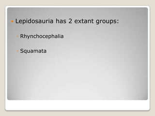    Lepidosauria has 2 extant groups:

    ◦ Rhynchocephalia

    ◦ Squamata
 
