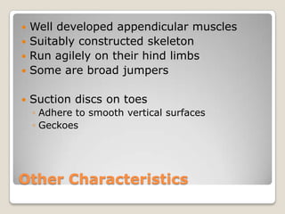  Well developed appendicular muscles
 Suitably constructed skeleton
 Run agilely on their hind limbs
 Some are broad jumpers


   Suction discs on toes
    ◦ Adhere to smooth vertical surfaces
    ◦ Geckoes




Other Characteristics
 