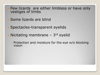    Few lizards are either limbless or have only
    vestiges of limbs

   Some lizards are blind

   Spectacles-transparent eyelids

   Nicitating membrane – 3rd eyelid

    ◦ Protection and moisture for the eye w/o blocking
      vision
 