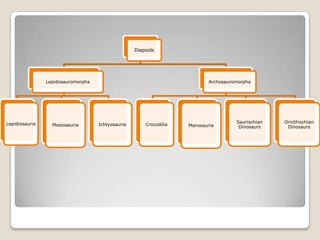 Diapsids




                Lepidosauromorpha                                           Archosauromorpha




Lepidiosauria                                                                         Saurischian   Ornithischian
                  Plesiosauria      Ichtyosauria       Crocodilia   Pterosauria        Dinosaurs     Dinosaurs
 