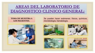 AREAS DEL LABORATORIO DE
DIAGNOSTICO CLINICO GENERAL:
TOMA DE MUESTRA A
LOS PACIENTES.
Se pueden hacer exámenes: físicos, químicos,
microbiología, hematología.
 