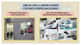 TOMA DE MUESTRA A
LOS PACIENTES.
AREA DE MICROBIOLOGIA,
HEMATOLOGICA, INMUNOLOGIA.
AREAS DEL LABORATORIO
CLINICO ESPECIALIZADO.
 