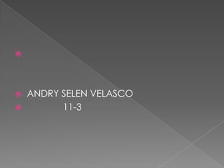 




   ANDRY SELEN VELASCO
         11-3
 