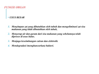FUNGSI ORGAN
• USUS BESAR
1. Menyimpan zat yang dibutuhkan oleh tubuh dan mengeliminasi zat sisa
makanan yang tidak dibutuhkan oleh tubuh,
2. Menyerap air dan garam dari sisa makanan yang sebelumnya telah
diproses di usus halus.
3. Menjaga keseimbangan cairan dan elektrolit.
4. Mendegradasi (menghancurkan) bakteri.
 