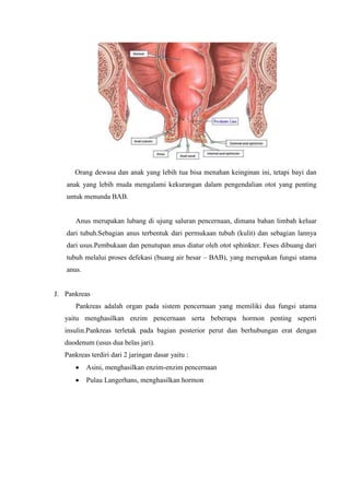 Orang dewasa dan anak yang lebih tua bisa menahan keinginan ini, tetapi bayi dan
   anak yang lebih muda mengalami kekurangan dalam pengendalian otot yang penting
   untuk menunda BAB.


       Anus merupakan lubang di ujung saluran pencernaan, dimana bahan limbah keluar
   dari tubuh.Sebagian anus terbentuk dari permukaan tubuh (kulit) dan sebagian lannya
   dari usus.Pembukaan dan penutupan anus diatur oleh otot sphinkter. Feses dibuang dari
   tubuh melalui proses defekasi (buang air besar – BAB), yang merupakan fungsi utama
   anus.


J. Pankreas
       Pankreas adalah organ pada sistem pencernaan yang memiliki dua fungsi utama
   yaitu menghasilkan enzim pencernaan serta beberapa hormon penting seperti
   insulin.Pankreas terletak pada bagian posterior perut dan berhubungan erat dengan
   duodenum (usus dua belas jari).
   Pankreas terdiri dari 2 jaringan dasar yaitu :
           Asini, menghasilkan enzim-enzim pencernaan
           Pulau Langerhans, menghasilkan hormon
 