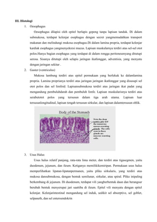 III. Histologi
       1.   Oesophagus
                 Oesophagus dilapisi oleh epitel berlapis gepeng tanpa lapisan tanduk. Di dalam
            submukosa, terdapat kelenjar esophagus dengan secret yangmemudahkan transport
            makanan dan melindungi mukosa esophagus.Di dalam lamina propria, terdapat kelenjar
            kardiak esophagus yangmenyekresi mucus. Lapisan muskularnya terdiri atas sel-sel otot
            polos.Hanya bagian esophagus yang terdapat di dalam rongga peritoneumyang ditutupi
            serosa. Sisanya ditutupi oleh selapis jaringan ikatlonggar, adventisia, yang menyatu
            dengan jaringan sekitar .
       2.   Gaster (ventriculus)
                 Mukosa lambung terdiri atas epitel permukaan yang berlekuk ke dalamlamina
            propria. Lamina proprianya terdiri atas jaringan jaringan ikatlonggar yang disusupi sel
            otot polos dan sel limfoid. Lapisansubmukosa terdiri atas jaringan ikat padat yang
            mengandung pembuluhdarah dan pembuluh limfe. Lapisan muskularisnya terdiri atas
            serabutotot    polos   yang    tersusun   dalam    tiga   arah   utama.   Lapisan    luar
            tersusunlongitudinal, lapisan tengah tersusun sirkular, dan lapisan dalamtersusun oblik.




       3.   Usus Halus
                 Usus halus relatif panjang, rata-rata lima meter, dan terdiri atas tigasegmen, yaitu
            duodenum, jejunum, dan ileum. Ketiganya memilikikemiripan. Permukaan usus halus
            memperlihatkan lipatan-lipatanpermanen, yaitu plika sirkularis, yang terdiri atas
            mukosa dansubmukosa, dengan bentuk semilunar, sirkular, atau spiral. Plika inipaling
            berkembang di jejunum. Di duodenum, terdapat vili yangberbentuk daun dan berangsur
            berubah bentuk menyerupai jari saattiba di ileum. Epitel vili menyatu dengan epitel
            kelenjar. Kelenjarintestinal mengandung sel induk, sedikit sel absorptive, sel goblet,
            selpaneth, dan sel enteroendokrin
 