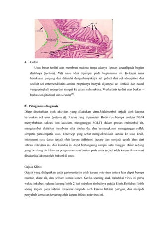 4.   Colon
        Usus besar terdiri atas membran mukosa tanpa adanya lipatan kecualipada bagian
     distalnya (rectum). Vili usus tidak dijumpai pada bagianusus ini. Kelenjar usus
     berukuran panjang dan ditandai denganbanyaknya sel goblet dan sel absorptive dan
     sedikit sel enteroendokrin.Lamina proprianya banyak dijumpai sel limfoid dan nodul
     yangseringkali menyebar sampai ke dalam submukosa. Muskularis terdiri atas berkas –
     berkas longitudinal dan sirkular(8).


IV. Patogenesis diagnosis
Diare disebabkan oleh aktivitas yang dilakukan virus.Malabsorbsi terjadi oleh karena
kerusakan sel usus (enterocyt). Racun yang diprosuksi Rotavirus berupa protein NSP4
menyebabkan sekresi ion kalsium, mengganggu SGLT1 dalam proses reabsorbsi air,
menghambat aktivitas membran silia disakarida, dan kemungkinan mengganggu reflek
simpatis parasimpatis usus. Enterocyt yang sehat mengsekresikan lactase ke usus kecil,
intoleransi susu dapat terjadi oleh karena defisiensi lactase dan menjadi gejala khas dari
infeksi rotavirus ini, dan kondisi ini dapat berlangsung sampai satu minggu. Diare sedang
yang berulang oleh karena pengenalan susu buatan pada anak terjadi oleh karena fermentasi
disakarida laktosa oleh bakteri di usus.


Gejala Klinis
Gejala yang didapatkan pada gastroenteritis oleh karena rotavirus antara lain dapat berupa
muntah, diare air, dan demam sumer-sumer. Ketika seorang anak terinfeksi virus ini perlu
waktu inkubasi selama kurang lebih 2 hari sebelum timbulnya gejala klinis.Dehidrasi lebih
sering terjadi pada infeksi rotavirus daripada oleh karena bakteri patogen, dan menjadi
penyebab kematian tersering oleh karena infeksi rotavirus ini.
 
