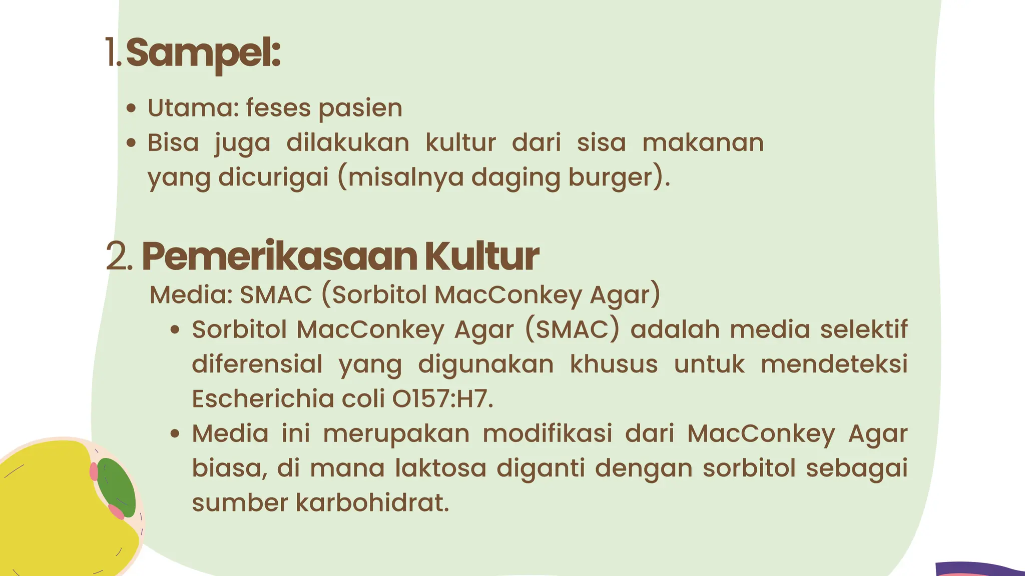 Utama: feses pasien
Bisa juga dilakukan kultur dari sisa makanan
yang dicurigai (misalnya daging burger).
1.Sampel:
2. PemerikasaanKultur
Media: SMAC (Sorbitol MacConkey Agar)
Sorbitol MacConkey Agar (SMAC) adalah media selektif
diferensial yang digunakan khusus untuk mendeteksi
Escherichia coli O157:H7.
Media ini merupakan modifikasi dari MacConkey Agar
biasa, di mana laktosa diganti dengan sorbitol sebagai
sumber karbohidrat.
 