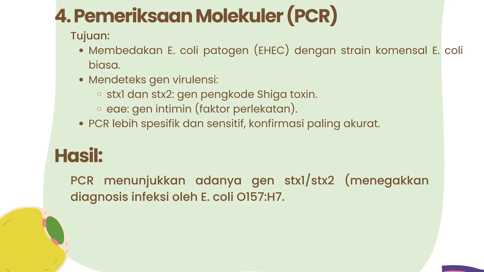 Tujuan:
Membedakan E. coli patogen (EHEC) dengan strain komensal E. coli
biasa.
Mendeteks gen virulensi:
stx1 dan stx2: gen pengkode Shiga toxin.
eae: gen intimin (faktor perlekatan).
PCR lebih spesifik dan sensitif, konfirmasi paling akurat.
4.PemeriksaanMolekuler(PCR)
Hasil:
PCR menunjukkan adanya gen stx1/stx2 (menegakkan
diagnosis infeksi oleh E. coli O157:H7.
 