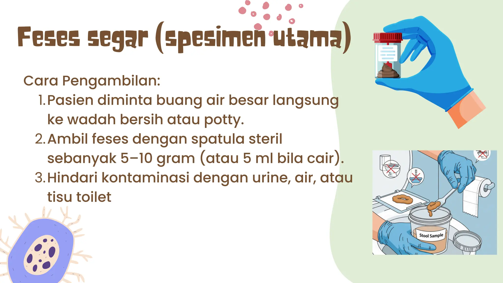 Cara Pengambilan:
1.Pasien diminta buang air besar langsung
ke wadah bersih atau potty.
2.Ambil feses dengan spatula steril
sebanyak 5–10 gram (atau 5 ml bila cair).
3.Hindari kontaminasi dengan urine, air, atau
tisu toilet
Feses segar (spesimen utama)
 