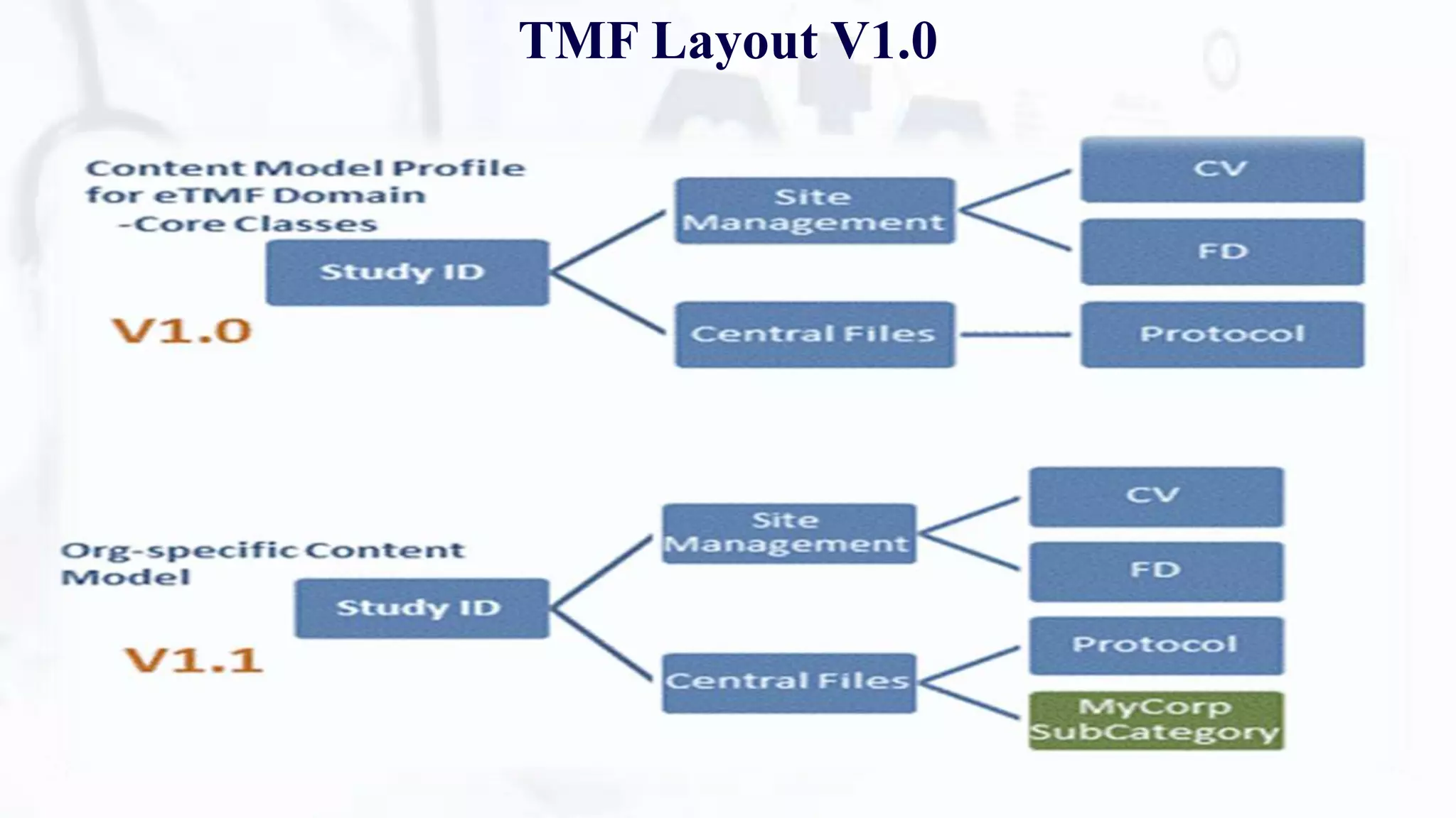 TMF Layout V1.0
 