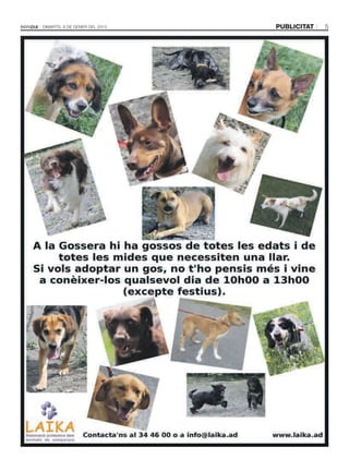 Dimarts, 8 de gener del 2013   publicitat   5
 