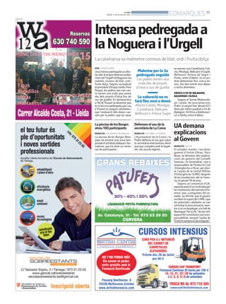 Intensapedregadaa
laNoguerail’Urgell
La calamarsava malmetre conreus de blat, ordi i fruita dolça
ACN. CASTELLSERÀ
Unaintensapedregadavaafec-
tarahiralvesprediversespobla-
cionsdel’UrgellilaNogueraiha
malmès conreus de blat, ordi i
fruita dolça. Segons va explicat
elpresidentd’AsajaLleida,Pere
Roqué, les pedres que van cau-
re tenien una mida que anava
des dels pinyols d’oliva fins als
ous de guatlla. En declaracions
a l’ACN, Roquéva lamentar que
és la tercera pedregada que cau
a Ponent en poques setmanes i
que l’avaluació dels danys cau-
sats per la pedra -que va caure
entermescomCastellserà,Fuli-
ola, Montgai, Bellcaire d’Urgell,
Bellmunt, Artesa de Segre i
Ponts, entre d’altres- no es po-
dran determinar fins, com a mí-
nim, fins ben entrat avui dijous
o inclús divendres.
XÀFECS A OS DE BALAGUER,
BALDOMAR I OLIOLA
Segons el Servei Meteorolò-
gic català, les precipitacions
d’ahir al vespre han deixat 67,7
litres per metre quadrat a Os de
Balaguer, 50 litres a Baldomar i
42 a Oliola, entre d’altres.
Malestar per la 3a
pedregada seguida
Les pedres tenien una
mida des de pinyols
d’oliva a ous de guatlla
La valoració no es
farà fins avui o demà
Afecta Fuliola, Montgai,
Castellserà, Bellcaire,
Bellmunt o Artesa Segre
UAdemana
explicacions
alGovern
REDACCIÓ. VIELHA
El senador aranès i secretari
general d’Unitat d’Aran, Paco
Boya, va demanar ahir explica-
cions als governs del Conselh
Generau i la Generalitat, com a
responsables de Protecció Civil
iEmergènciesal’Aran,perobvi-
ar l’ajuda de la Unitat Militar
d’Emergències (UME) després
de les inundacions del riu Garo-
na, el passat 18 de juny.
Segons un comunicat d’UA,
aquestapeticióvemotivadaper
lesrevelacionsdelministred’In-
terior, que, a preguntes del se-
nador, va afirmar que el govern
vaoferirelsuportdel’UMEique
les autoritats catalanes no van
sol·licitarlasevaactuació,men-
tresíesvadesplegaralaVallde
Benasque.PeraUA,“desercert,
aquestfetconstitueixunairres-
ponsabilitat, perquè l’ajuda de
l’Exèrcitsempreésbenvinguda”.
PUBLICITAT
Defensenelsoudela
secretàriadeLaComa
REDACCIÓ. LA COMA I LA PEDRA
L’Ajuntament de la Coma i la
Pedra defensa el sou que cobra
la secretària-interventora dient
que que compleix amb la legali-
tat i els acords vigents.
LapiscinadelesBorges
atreu100participants
REDACCIÓ. LES BORGES BLANQUES
La piscina de les Borges Blan-
ques ha encetat una nova tem-
poradad’activitatslúdiquesifor-
matives, que ha atret un cente-
nar de participants.
BONDIA
DIJOUS, 11 DE JULIOL DEL 2013
11
COMARQUES
 