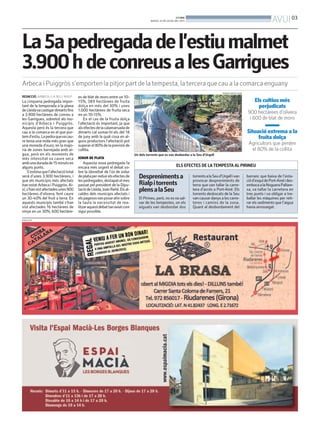 BONDIA
DIJOUS, 25 DE JULIOL DEL 2013
03
AVUI
PUBLICITAT
La5apedregadadel’estiumalmet
3.900hdeconreusalesGarrigues
Arbeca i Puiggròs s’emporten la pitjor part de la tempesta, la tercera que cau a la comarca enguany
REDACCIÓ. ARBECA / LA SEU / RIALP
La cinquena pedregada impor-
tant de la temporada a la plana
deLleidavacastigardimartsfins
a 3.900 hectàrees de conreu a
les Garrigues, sobretot als mu-
nicipis d’Arbeca i Puiggròs.
Aquesta però és la tercera que
cau a la comarca en el que por-
temd’estiu.Lapedraquevacau-
re tenia una mida més gran que
una moneda d’euro, en la majo-
ria de zones barrejada amb ai-
gua, però en els moments de
més intensitat va caure seca
ambunaduradade15minutsen
alguns punts.
S’estimaquel’afectaciótotal
serà d’unes 3.900 hectàrees, i
que els municipis més afectats
hanestatArbecaiPuiggròs.Ai-
xí,s’hanvistafectadesunes900
hectàrees d’olivera, fent caure
un 30-40% del fruit a terra. En
aquests municipis també s’han
vist afectades 16 hectàrees de
vinya en un 30%, 600 hectàre-
es de blat de moro entre un 10-
15%, 389 hectàrees de fruita
dolça en més del 30% i unes
1.000 hectàrees de fruita seca
en un 10-15%.
En el cas de la fruita dolça
l’afectació és important, ja que
alsefectesdelacalamarsadade
dimarts cal sumar-hi els del 18
de juny amb la qual cosa en al-
guns productors l’afectació pot
superarel80%delaprevisióde
collita.
IODUR DE PLATA
Aquesta nova pedregada fa
encara més urgent el debat so-
bre la idoneïtat de l’ús de iodur
deplataperreduirelsefectesde
lespedregades,destapatelmes
passat pel president de la Dipu-
taciódeLleida,JoanReñé.Elsal-
caldes dels municipis afectats i
elspagesosvanposarahirsobre
la taula la necessitat de rea-
litzaraquestdebattanaviatcom
sigui possible.
Els cultius més
perjudicats
900 hectàrees d’olivera
i 600 de blat de moro
Situació extrema a la
fruita dolça
Agricultors que perden
el 80% de la collita
ELS EFECTES DE LATEMPESTA AL PIRINEU
El Pirineu, però, no esva sal-
var de les tempestes, on els
aiguats van desbordar dos
torrentsalaSeud’Urgellivan
provocar despreniments de
terra que van tallar la carre-
tera d’accés a Port-Ainé. Els
torrents desbocats de la Seu
van causar danys a les carre-
teres i camins de la zona.
Quant al desbordament del
barranc que baixa de l’esta-
ciód’esquídePort-Ainéides-
embocaalaNogueraPallare-
sa, va tallar la carretera en
tres punts i va obligar a tre-
ballar les màquines per reti-
rar els sediments que l’aigua
havia arrossegat.
Desprenimentsa
Rialpitorrents
plensalaSeu
Un dels torrents que es van desbordar a la Seu d’Urgell
FERRAN GARCÍA (ACN)
 