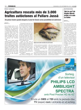 PIRINEUS12 DIVENDRES, 6 DE SETEMBRE DEL 2013*costdelmissatge:1,50€ +cànon
Envia un SMS al 789 amb la paraula clau
TV (espai) nom i entraràs en el sorteig
Sorteig
d’un televisor
PHILIPS LCD
AMBILIGHT
SPECTRA
amb Pixel Precise HD de 42”
*costdelmissatge:1,50€ +cànon
EXPOSICIONS
‘Qui és ara? de
Sandra March
arriba a la sala
La Cuina
REDACCIÓ
LA SEU D’URGELL
En el marc del segon Cicle
d’art contemporani de la sala
La Cuina de la Seu d’Urgell,
aquesta tarda tindrà lloc la
mostra Qui és ara?, de l’artis-
ta urgellenca multidiscipli-
nària Sandra March.
Aquest muntatge artístic
combina les tècniques del
dibuix, els gràﬁcs, la poesia
i el vídeo. En aquesta ex-
posició de Sandra March hi
col·laboren els poetes Bernat
Manresa, Iolanda Jiménez,
Joan Graell, Teresa Colom,
Andreu Escales i Giorgina
Almagia. La mostra esta-
rà oberta ﬁns al dia 27 de
setembre.
Qui és ara? és una acció
artística que l’autora va pre-
sentar en la passada Diada
de Sant Jordi. Barreja la carn
i l’embotit amb el dibuix i la
poesia, i s’ha volgut recu-
perar en aquest segon cicle
d’art contemporani.
El cos d’agents rurals, en col-
laboració amb l’àrea de Pesca
Continental del departament
d’Agricultura, Ramaderia, Pes-
ca, Alimentació i Medi Natural,
va rescatar dilluns 3.047 truites
autòctones (Salmo trutta) i 27
barbs cua-rojos (Barbus haasi),
espècie protegida, del canal de
Sossís, al Pallars Jussà, segons
va informar ahir l’executiu
català.
Els peixos havien quedat
atrapats en aquest canal sense
cap possibilitat de sobreviure i
totes les captures van ser trans-
locades al riu Noguera Pallaresa
entre la Pobla de Segur i Rialp.
Enguany hi ha hagut un punt
d’inﬂexió en relació amb la ten-
dència dels últims anys: s’havia
passat de capturar més de 10.000
exemplars fa uns vint anys
a poc més de 800 exemplars
l’any passat.
El buidatge periòdic del canal
de Sossís, que es fa des de fa més
de vint anys sempre en aquestes
dates, s’utilitza com a bioindi-
cador de l’estat de la població
de truita comuna del tram baix
del riu Noguera Pallaresa. L’in-
crement d’enguany reﬂecteix la
bona gestió del corb marí, que
comença a donar fruit després
de dos anys d’aplicació, amb el
foragitament dels corbs marins
de les zones de cria de la truita
comuna per part de membres
del cos d’agents rurals.
També cal tenir molt en
compte el gran esforç que han
fet les societats de pescadors del
Conveni Pallaresa, que han sol-
licitat passar a pesca sense mort
tot el tram del conveni durant
els mesos d’agost i setembre,
sensibilitzats pels danys pro-
duïts per les riuades del mes de
juny d’enguany.
L’empresa propietària del
canal, Ibérica de Energías SA,
sol·licita autorització anualment
al departament d’Agricultura
per aturar l’explotació hidro-
elèctrica per fer-hi tasques de
manteniment.
Cal recordar que aquest canal
i la central de Sossís (Conca de
Dalt) es van construir cap a l’any
1910 per abastar d’electricitat les
obres de la presa del pantà de
Sant Antoni al Pallars Jussà. Les
tasques de rescat les ha sufra-
gades l’empresa concessionària,
però, atesa la complexitat tècni-
ca, les van realitzar íntegrament
efectius dels agents rurals del
Pallars Jussà i treballadors ﬂuvi-
als de Forestal Catalana.
Agricultura rescata més de 3.000
truites autòctones al Pallars Jussà
MEDI AMBIENT
DAAM
Algunes de les truites rescatades del canal de Sossís.
Els peixos havien quedat atrapats al canal de Sossís sense possibilitats de sobreviure
REDACCIÓ
CONCA DE DALT
 